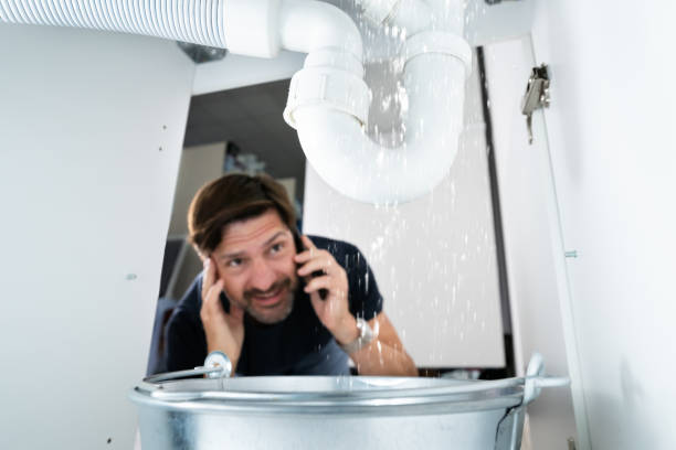Best Pipe Repair Near Me  in Forsyth, IL